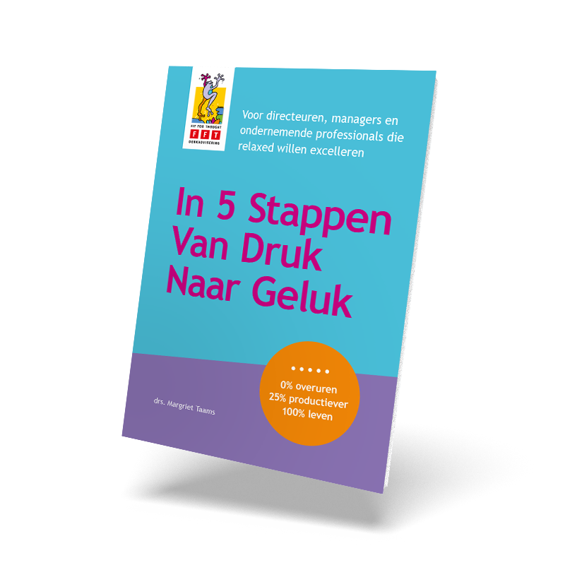 Stappenplan ‘In 5 Stappen Van Druk Naar Geluk'