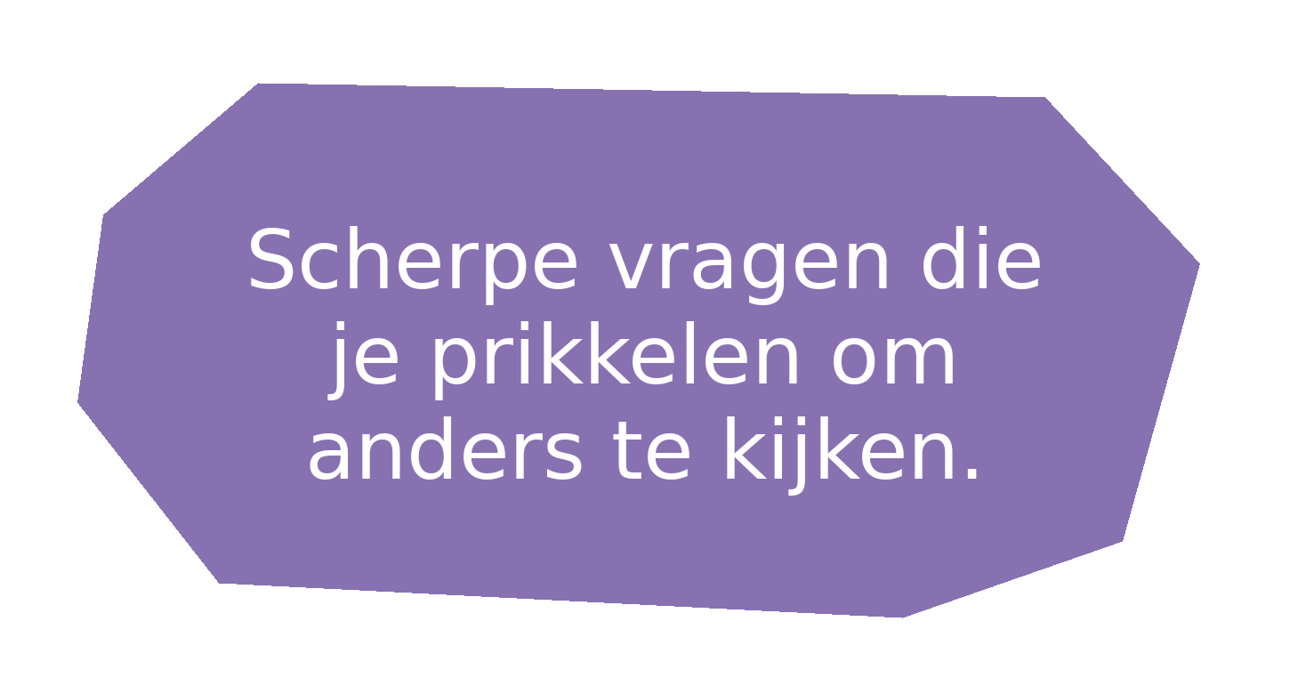 28_Scherpe_vragen_die_je_prikkelen_om_anders_te_kijken